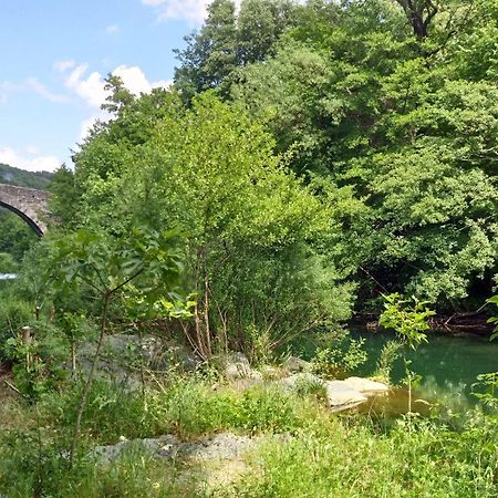 Le Moulin Aux Chandelles 2, Vacances & W-E, Vues Riviere, Montagne & Ville, Tout Confort Deconnecte, Eclairage Bougies, Connexions A 200M Au Centre Le Vigan Gite Les Amoureux De L'Arre, Randonnee Chemin De Saint-Guilhem-Le-Desert, Lire Profil Avant R מראה חיצוני תמונה