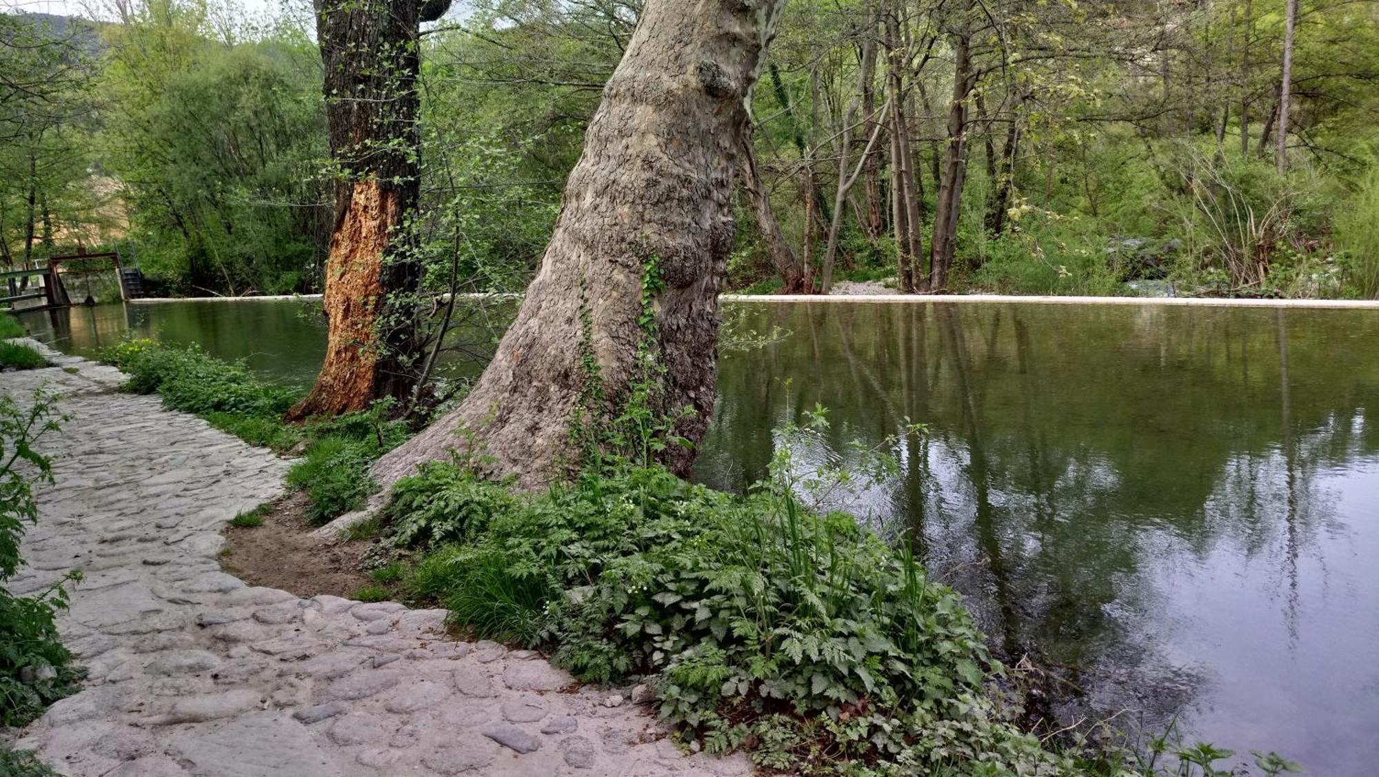 Le Moulin Aux Chandelles 2, Vacances & W-E, Vues Riviere, Montagne & Ville, Tout Confort Deconnecte, Eclairage Bougies, Connexions A 200M Au Centre Le Vigan Gite Les Amoureux De L'Arre, Randonnee Chemin De Saint-Guilhem-Le-Desert, Lire Profil Avant R מראה חיצוני תמונה